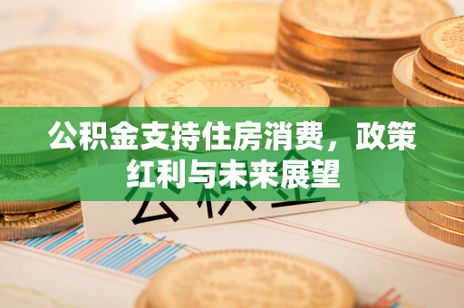 海林公积金支持住房消费，政策红利与未来展望
